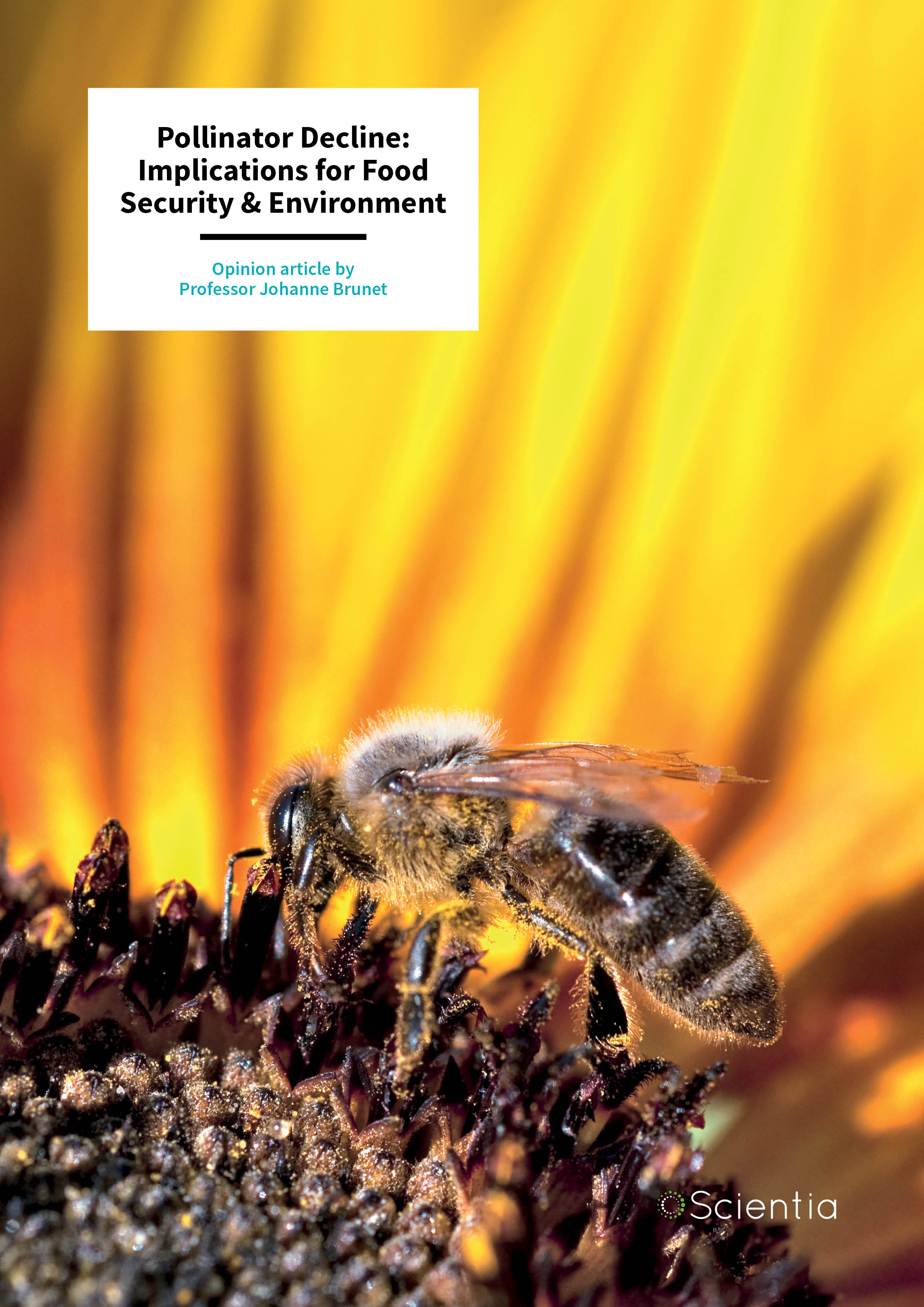 Pollinator Decline: Implications for Food Security & Environment